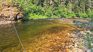 The most AMAZING STREAMSIDE CAMPING and FISHING spot - 2 month camping trip-p30
