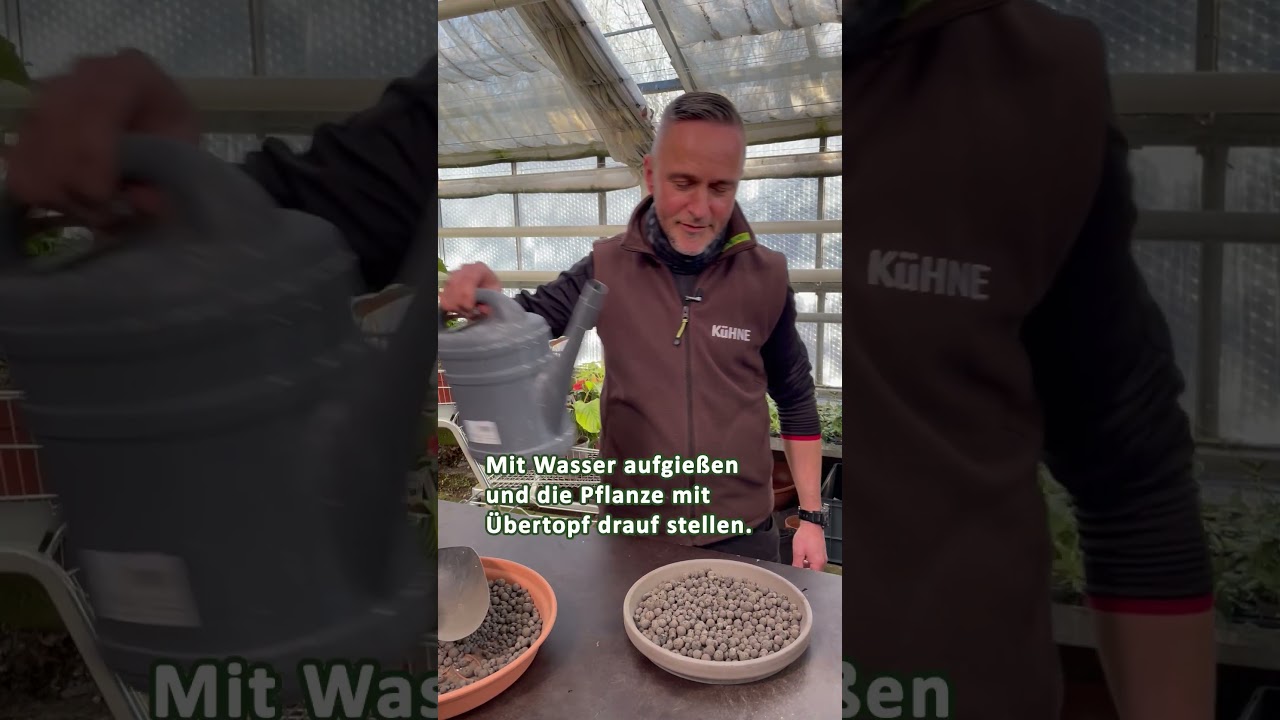 Pflanzen mit Luftfeuchtigkeit versorgen