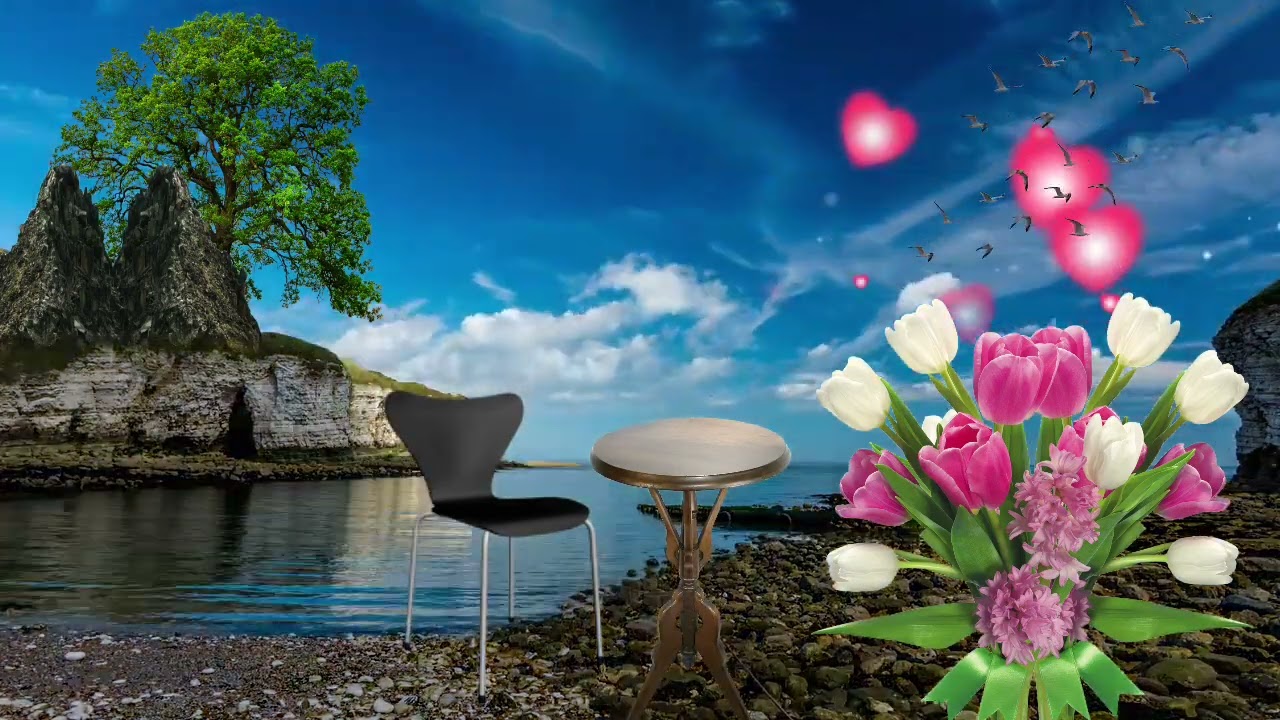 background sky water tree flower 