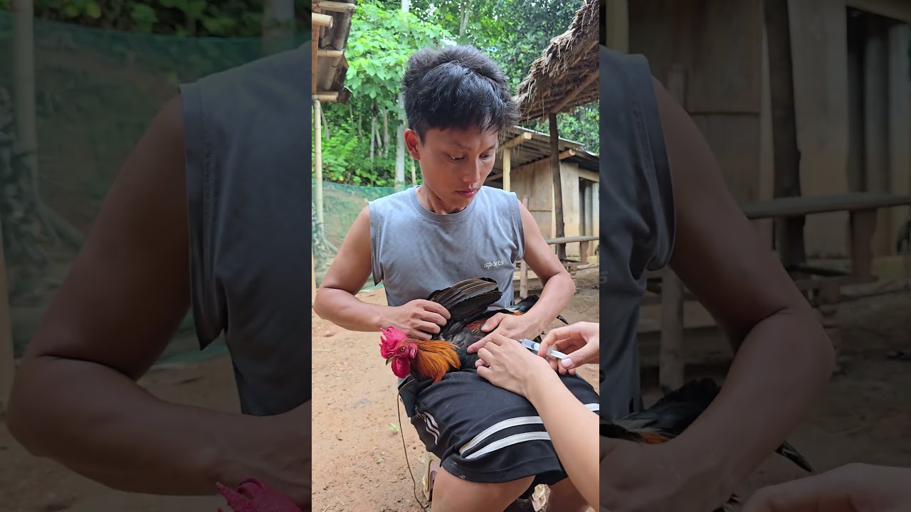 Đeo kính vào đi. #comedy #funny