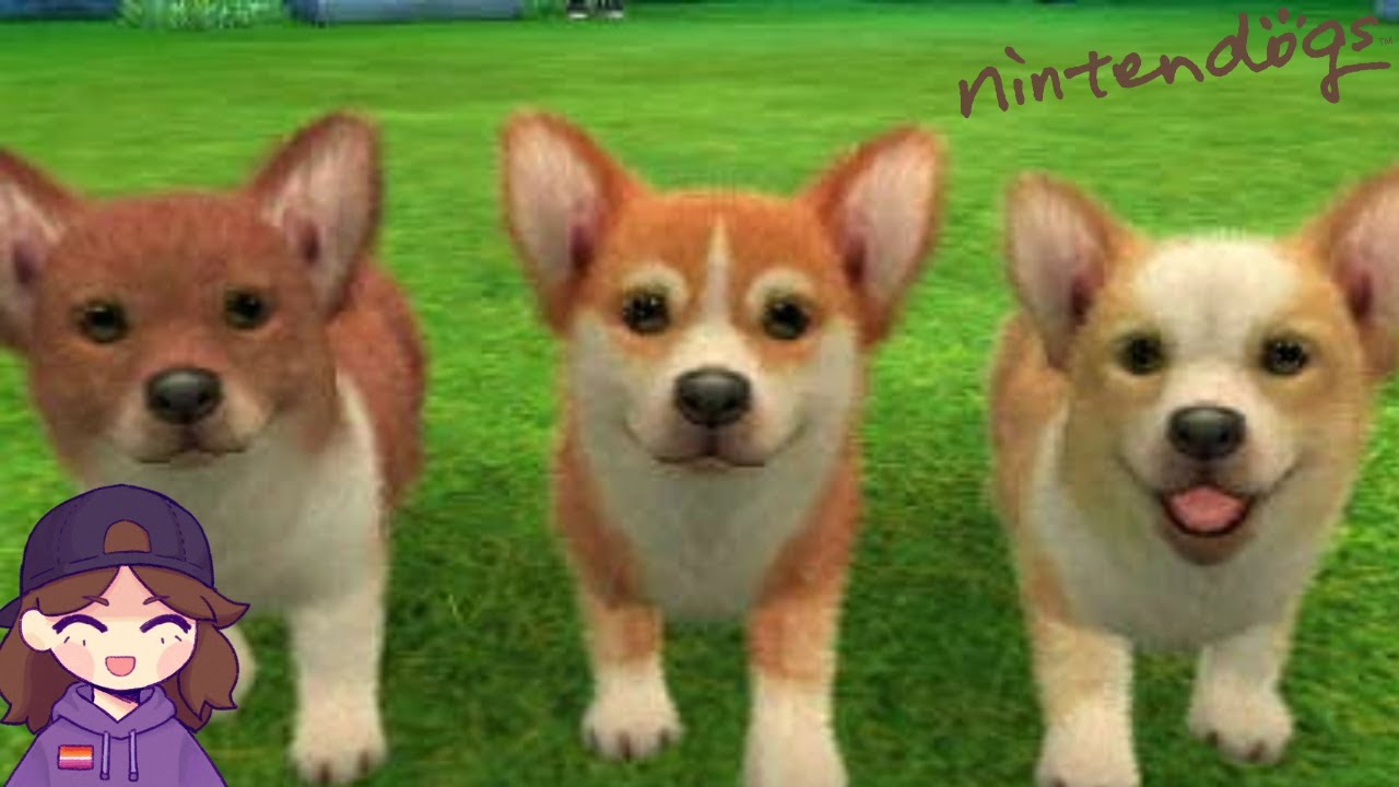 LET'S GET A CORGI | Nintendogs