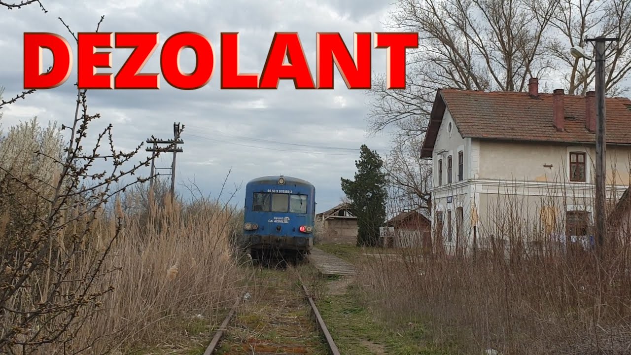 Cenad h, capat de linie care candva continua mai departe la Szeged, azi e parasita (Martie 2021)