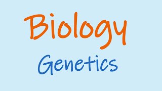 Year 10 Genetics