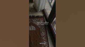 #قرآن #ياسر_الدوسري #تلاوة_خاشعة #راحة_نفسية #اسلام #اسلاميات #quran #islam #تلاوات