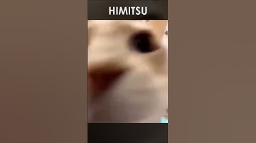 windows notification sound 🔔🔔🔔 #shorts #meme #memes #fyp