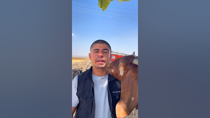 اعمل نفسك ميت 😂😂نزار الحموي #shorts