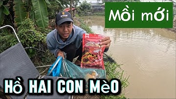 Trải nghiệm sản phẩm mồi câu Khó Chịu rô phi tôm sắp ra mắt, thành quả cá ăn lúp xúp 