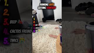 These Cats Got Startled… And It’s HILARIOUS 😂🐱 #funnycats #startled