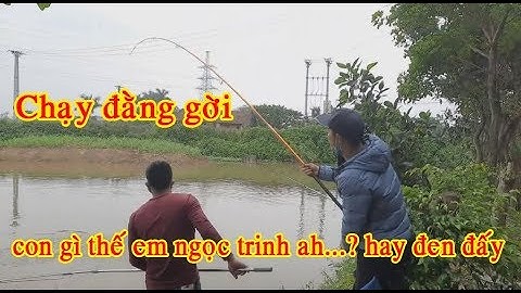 Hướng Dẫn Mồi Câu Khai Trương Hồ Câu Nam Tài Dòng ( Cá MAX Phê ) Full video HD