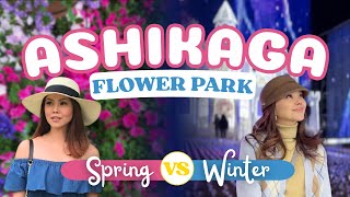 Spring Vs Winter Attractions Ashikaga Flower Park Japan Bianca Valerio