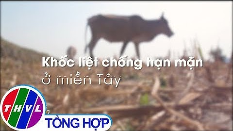 Chủ động thay đổi để thích ứng với hạn mặn khốc liệt ở miền Tây