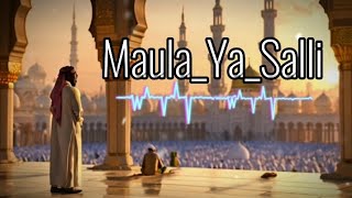 'Maula Ya Salli Wa Sallim' [Slowed & Reverb]❤||#maulayasallimwasallim#lofi #lofimusic