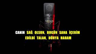 Canbay & Wolker & Aleyna Kalaycıoğlu - Epey Zaman Geçti / Karaoke / Md Altyapı / Cover / / Hq