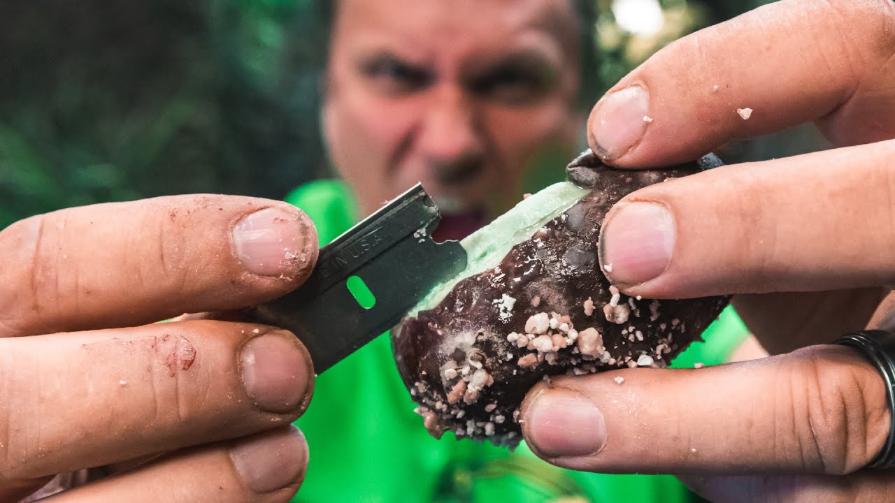 vlogs in spanish WHAT'S INSIDE A ROTTEN SNAKE EGG?? LETS FIND OUT!! | BRIAN BARCZYK
