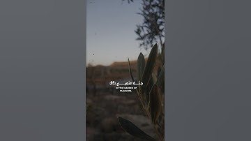 ولا تخزني يوم يبعثون | قرآن كريم - ياسر الدوسري