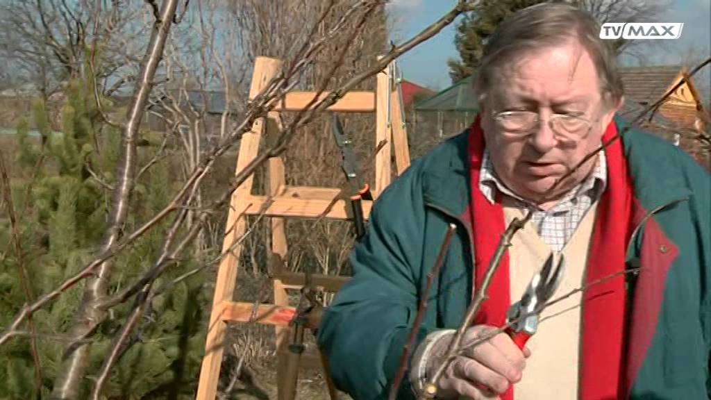 Ogród na miare - 2016.03.19 - Prześwietlanie