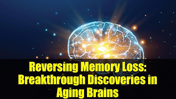 Reversing Memory Loss: Breakthrough Discoveries in Aging Brains