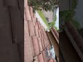 Tile Roof Leak Diagnosed After 4 Roofers Failed | Marble Falls Roofing Case Study