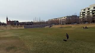 Sailor and Frisbee Rob Throwing Session