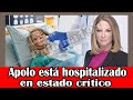 ÚLTIMA HORA! Ana María Polo está hospitalizado en estado crítico