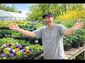 Don’t miss the best plants to grow right now in early spring