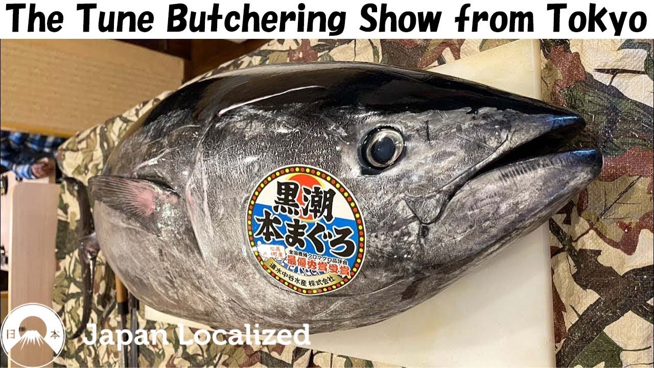 Tuna Butchering Show from Tokyo Japan Over 50 kg Tuna!? What to do