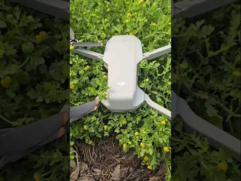 DJi mini 4