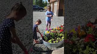 Cute Girls Watering Flowers In The Garden