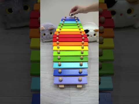 Xylophone Marble run ⚡🟡😻 Satisfying #xylophone #dominomarble #marblerun