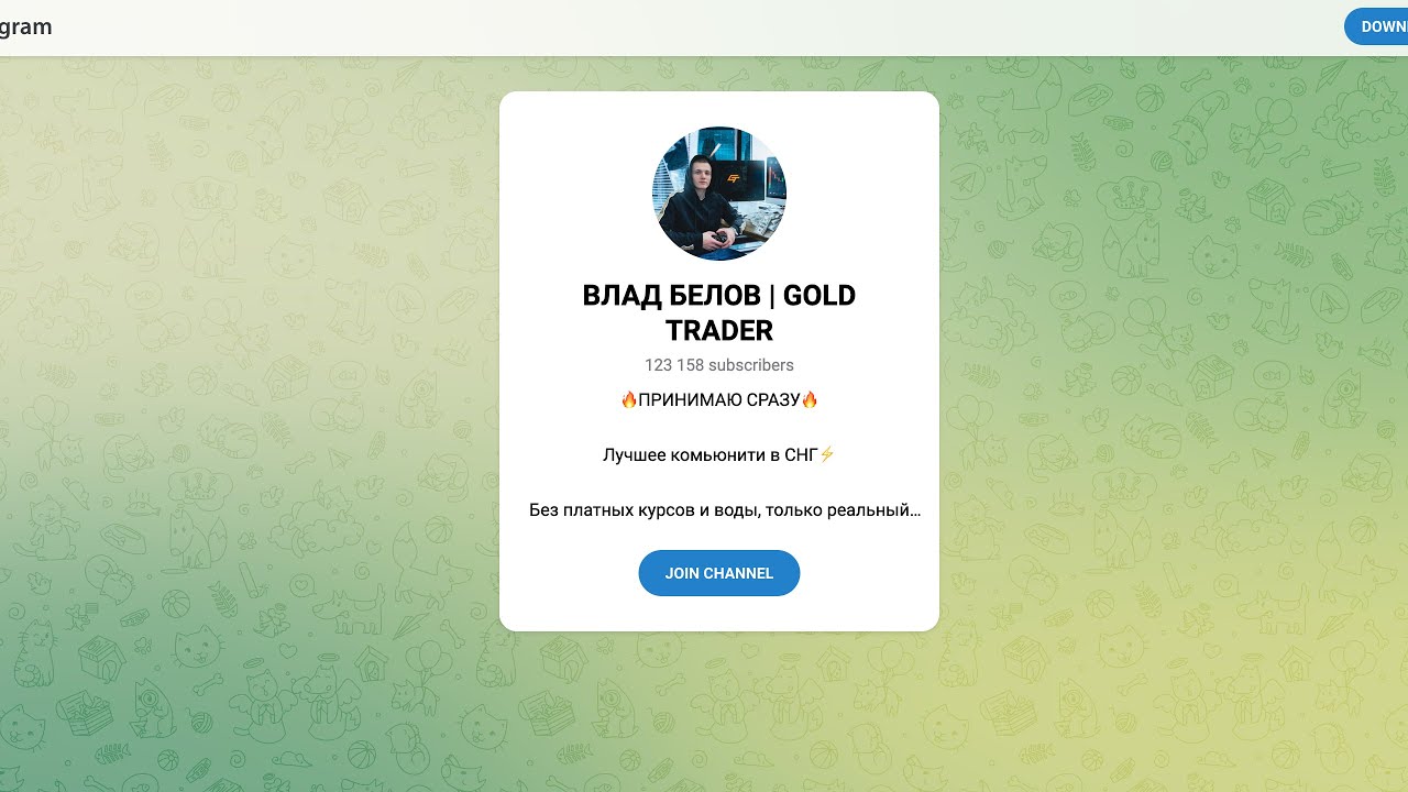 ВЛАД БЕЛОВ | GOLD TRADER — трейдер или развод? Обзор канала и отзывы