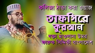মাওলানা ওমর ফারুক সিদ্দকী(বাংলাদেশ)ওয়াজ । Maulana Umar Faruk Siddiqi Waz | Bangla Waz | New Waz