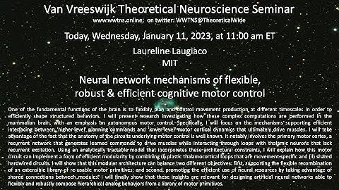 Neural network mechanisms of flexible, robust & efficient cognitive motor control | L. Logiaco MIT
