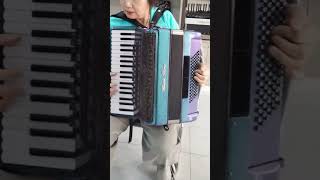A reliable accordion with responsive performance and balanced sound? BG-JS Piano Accordion