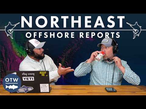 1,000 Billfish and Midshore Yellowfin | Northeast Offshore Fishing Report August 12, 2026