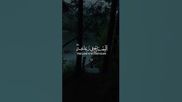ماتيسر من سورة النور بصوت ياسر الدوسري ❤️🌿 #القرأن #الكريم