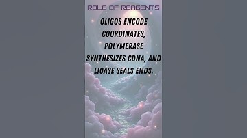 Spatial Transcriptomics