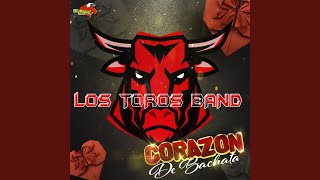 Se Canso De Mi bachata