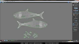 Aula 05 / 19 - Abrindo A Malha Para Texturização (Uv) - Curso Tubarão (Baby Shark) 3D 2014