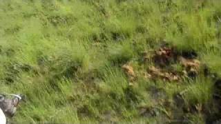 www.globetrotting.com.au Ten day horse riding safari in the Okavango Delta