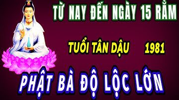 Từ nay đến ngày 15 rằm tháng 7 âm lịch trời phật độ tuổi Tân dậu 1981 bất ngờ trúng số cực giàu có.
