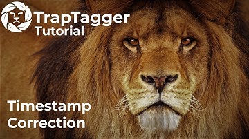 TrapTagger: Pre-Processing 1 - Timestamp Correction