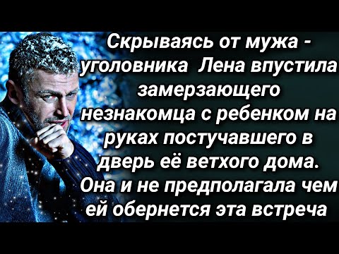 Впустив в дом замерзающего незнакомца с ребенком, Лена и не предполагала чем ей это обернется...