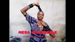 Mesa Makengele Ujumbe Wa Lugwesa Ng'wana Igwasha