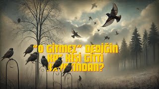 Yanlış Bir Gün...ahmet Altan Ve Tuncel Kurtizin Etkileyici Buluşması