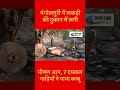 मंगोलपुरी में लकड़ी की दुकान में लगी भीषण आग, 7 दमकल गाड़ियों ने पाया काबू