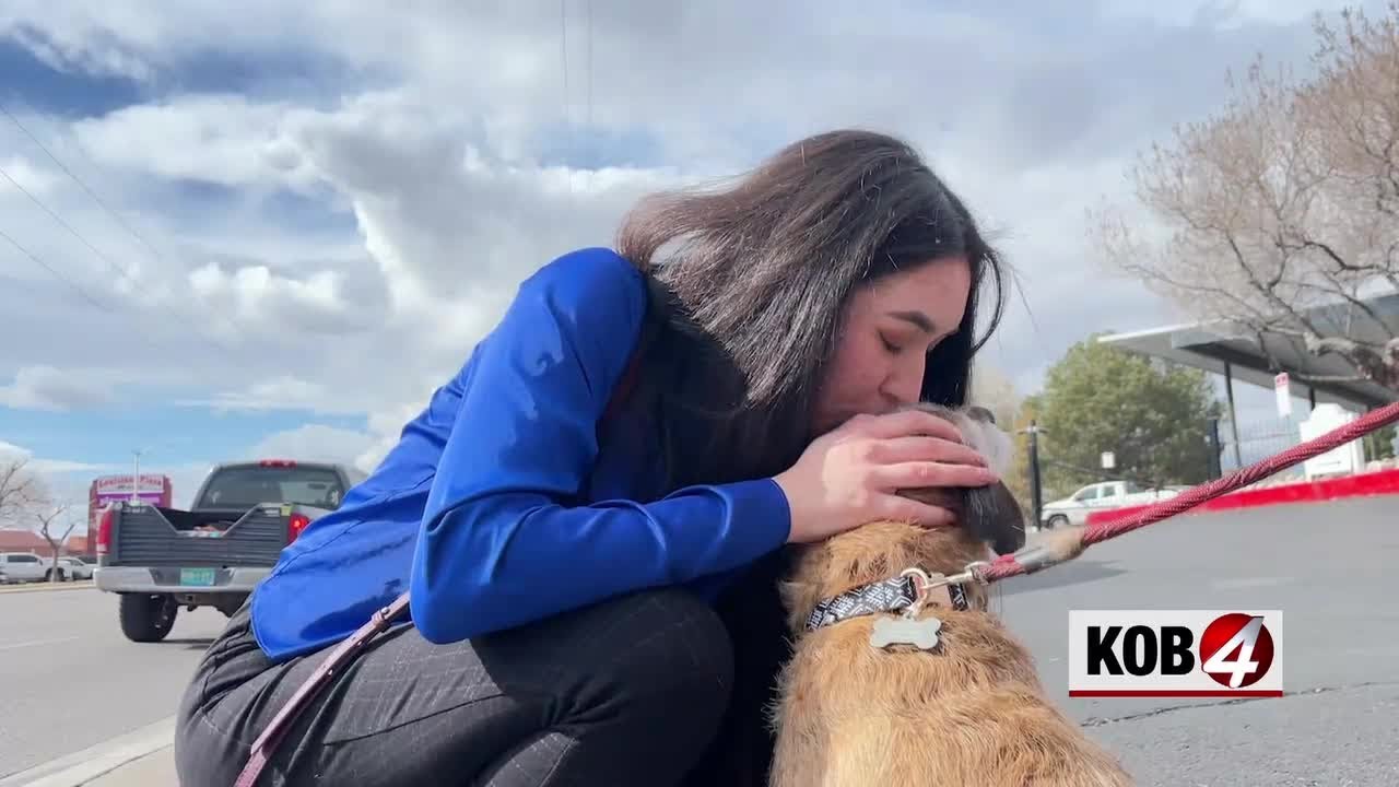 Dog reunited with owner after apartment fire - YouTube