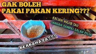 Kekurangan Dan Kelebihan Pakan Kering Dan Basah Wajib Anda Ketahui