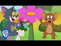 Tom Jerry Flower Season WB Kids Tom Jerry Flower Season WB Kids