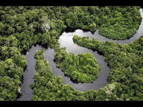 Video: Doğal Amazon Nehri Temalı Akvaryum Oluşturma