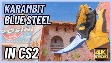 ★ CS2 Karambit Blue Steel | CS2 Knife In-Game Showcase [4K]